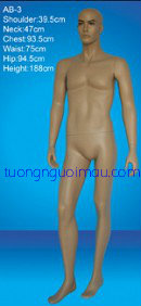 Manocanh NACC_10