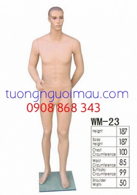Manocanh MN_31