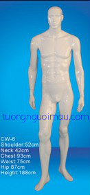 Manocanh NACC_9